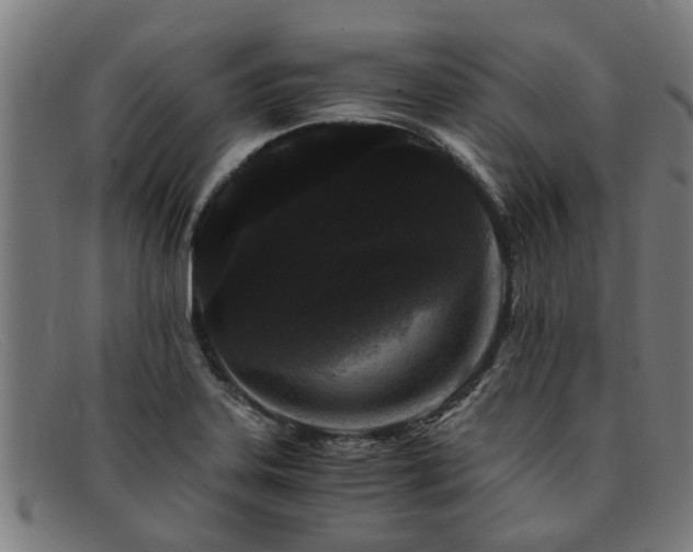 X0000091881323200709121406