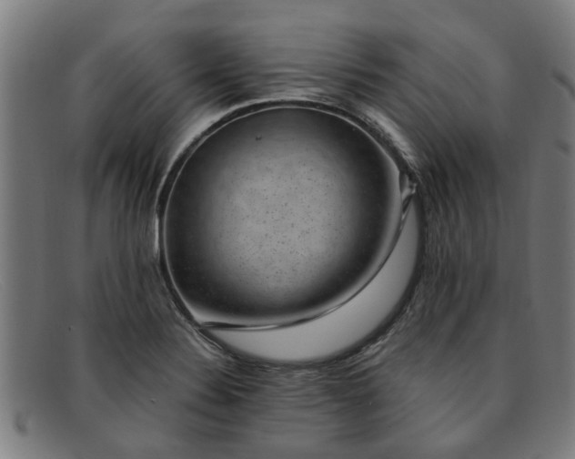 X0000091881324200709121406