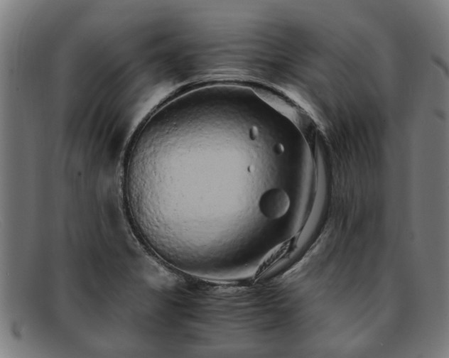 X0000091881325200709121406
