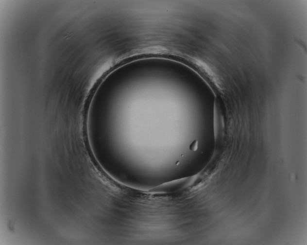 X0000091881326200709121406