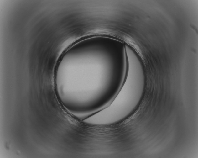X0000091881328200709121406