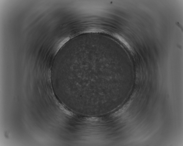 X0000091881329200709121406
