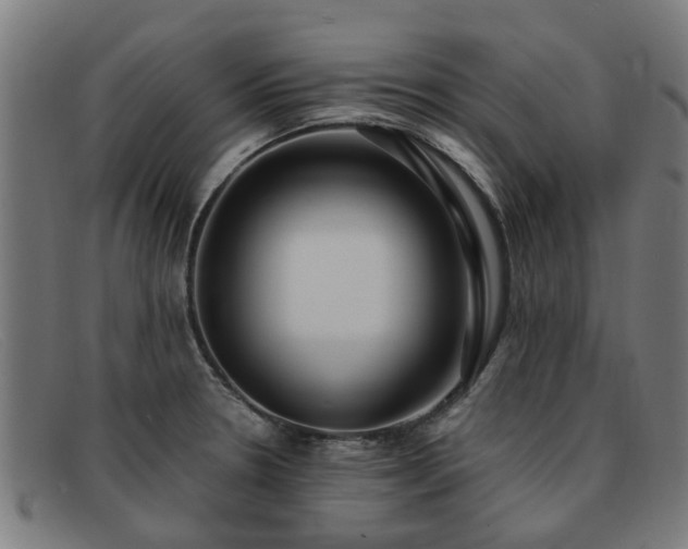 X0000091881330200709121406