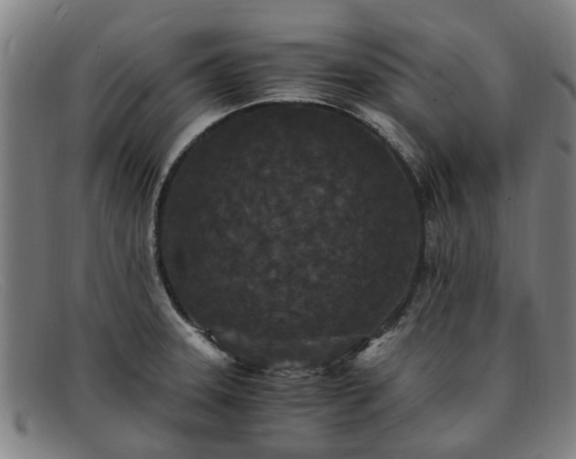 X0000091881331200709121406