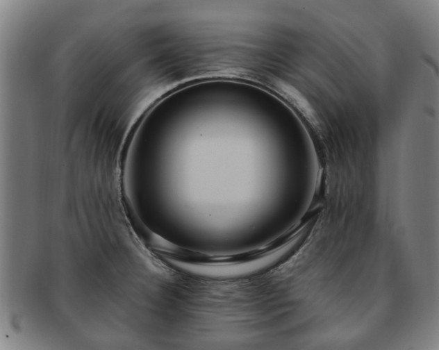 X0000091881332200709121406