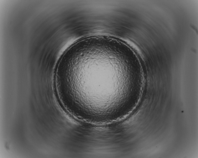 X0000091881333200709121406