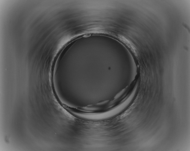 X0000091881334200709121406