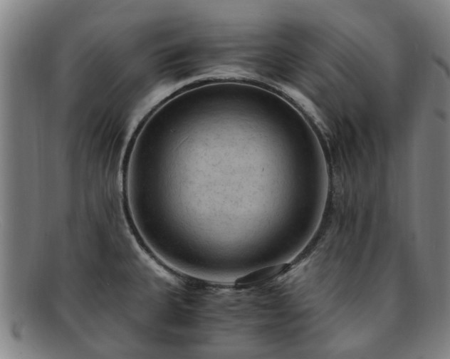 X0000091881335200709121406