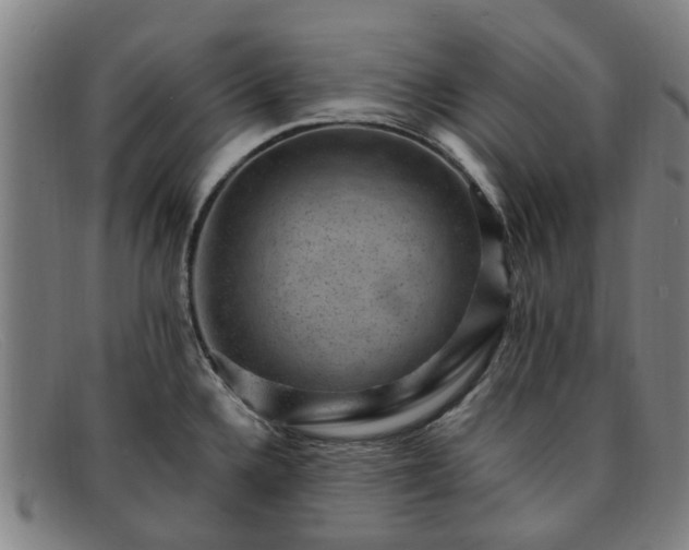X0000091881336200709121406