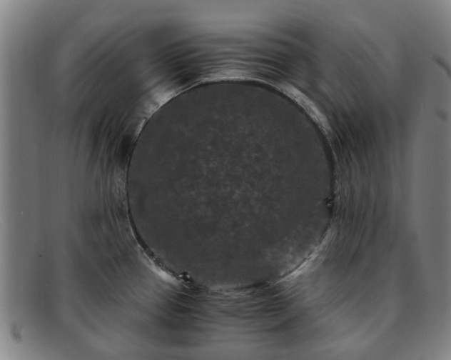 X0000091881337200709121406