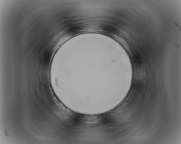 X0000091881338200709121406