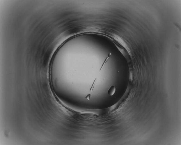 X0000091881339200709121406
