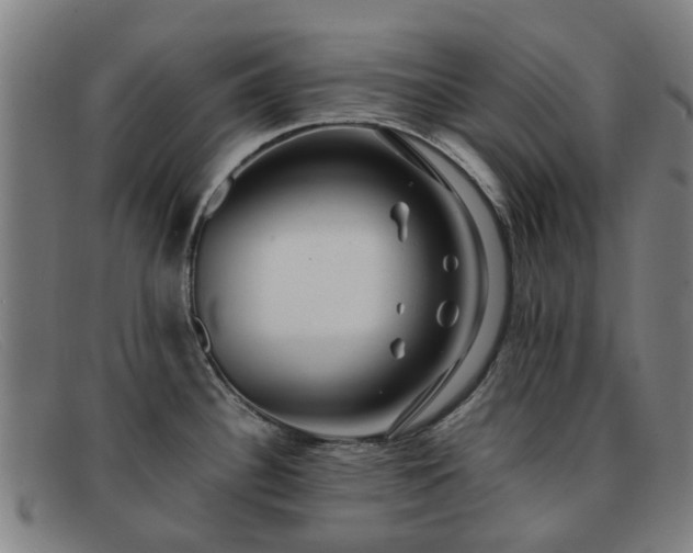 X0000091881340200709121406