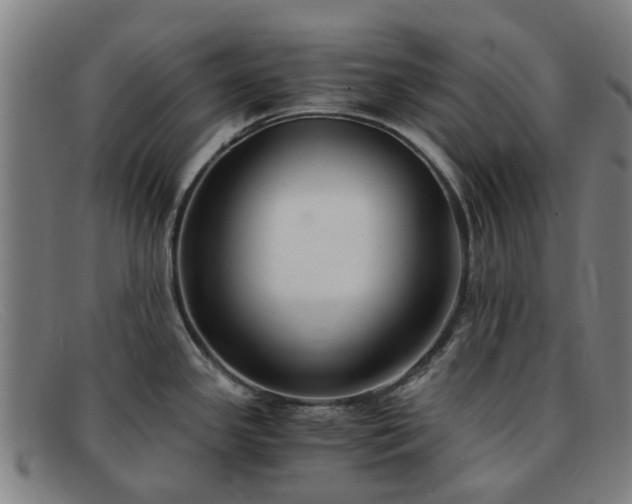 X0000091881341200709121406