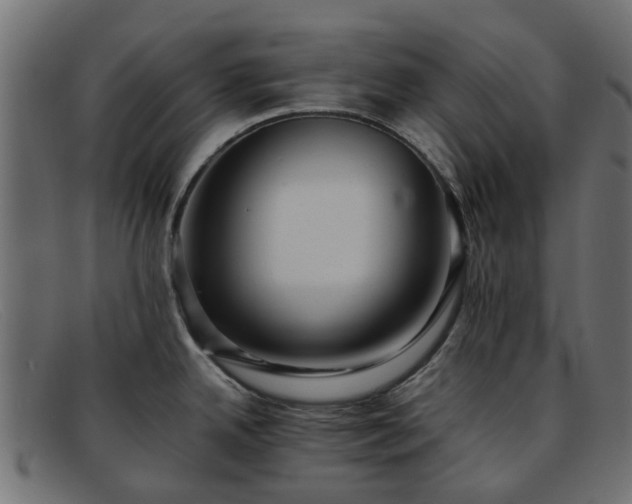 X0000091881342200709121406
