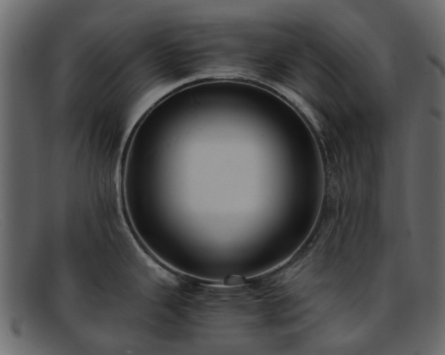 X0000091881343200709121406