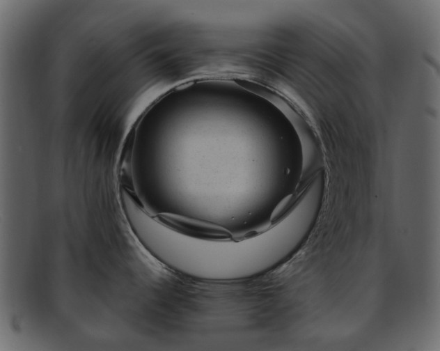X0000091881344200709121406