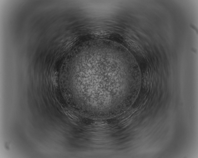 X0000091881346200709121406
