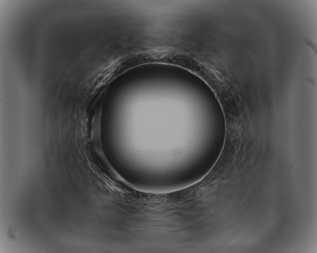 X0000091881349200709121406