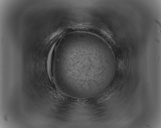 X0000091881350200709121405