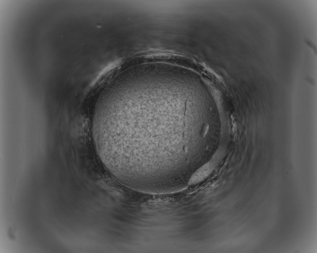 X0000091881351200709121405