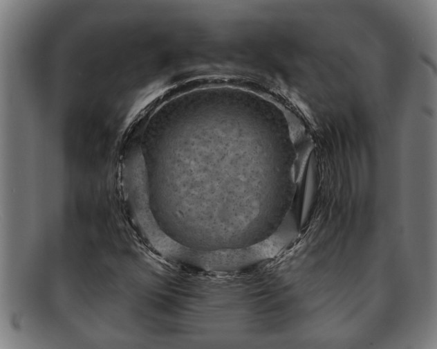 X0000091881352200709121405