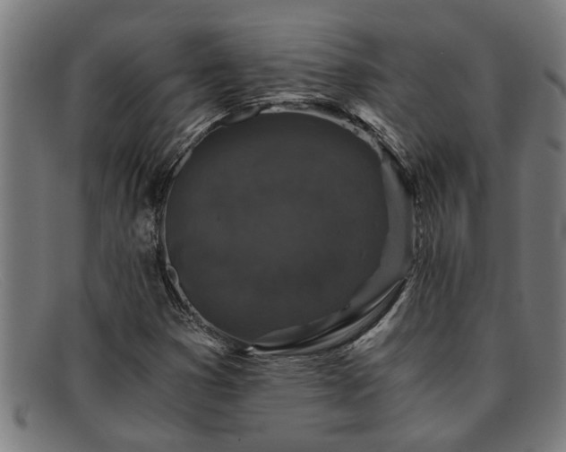 X0000091881353200709121405