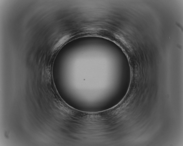 X0000091881354200709121405