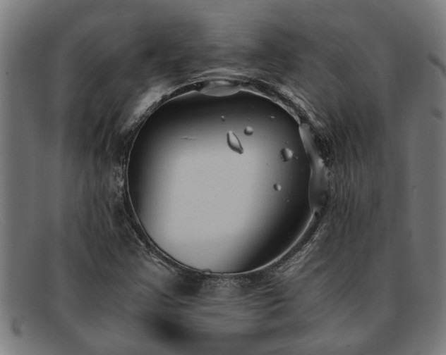 X0000091881355200709121405