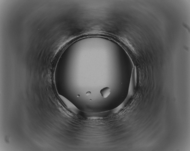 X0000091881356200709121405