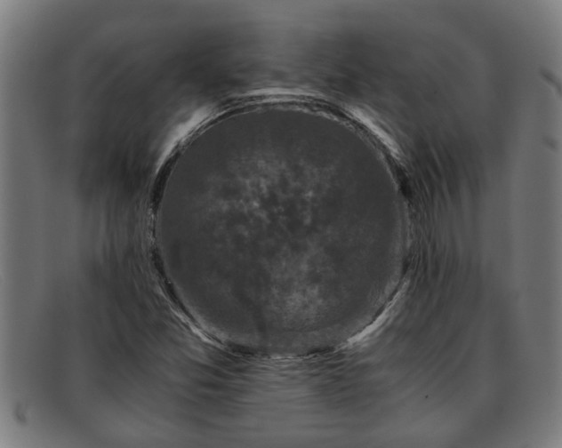 X0000091881357200709121405