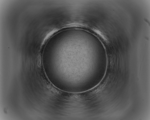 X0000091881358200709121405