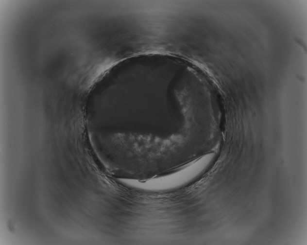 X0000091881359200709121405