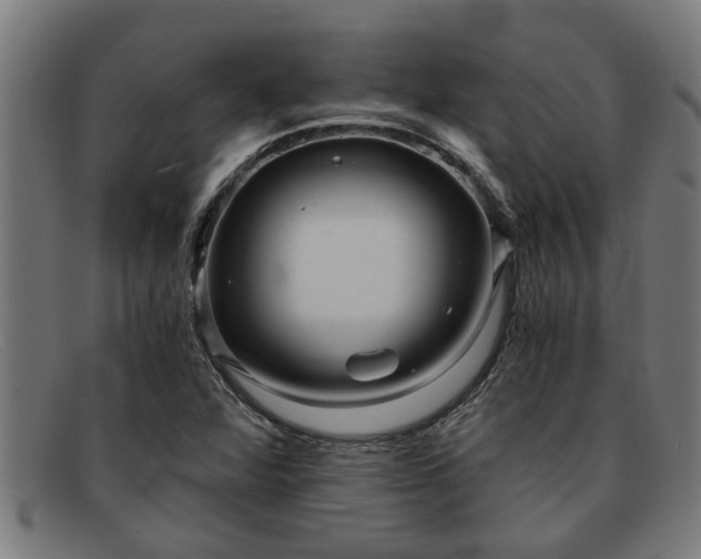 X0000091881360200709121405