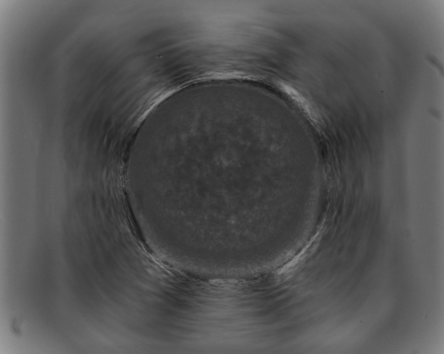 X0000091881361200709121405