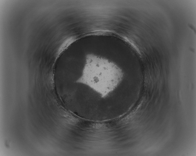 X0000091881362200709121405