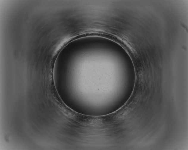 X0000091881363200709121405