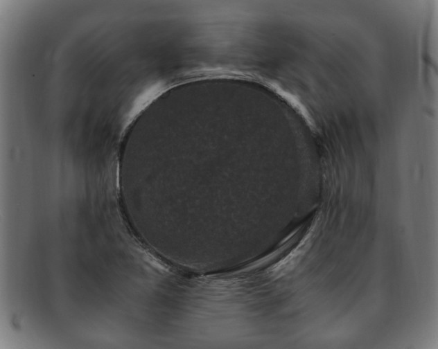 X0000091881365200709121405