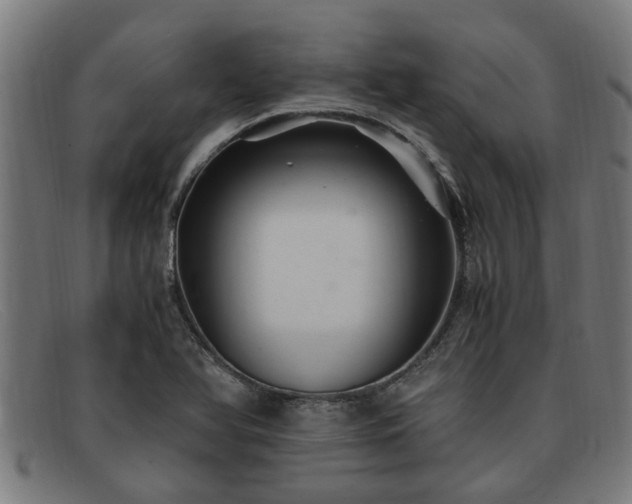 X0000091881366200709121405