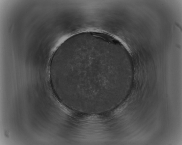 X0000091881367200709121405