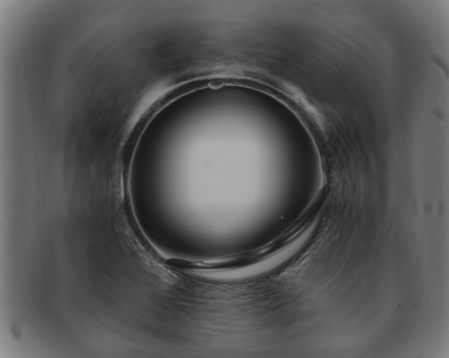 X0000091881368200709121405