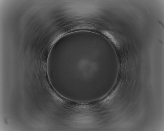 X0000091881369200709121405