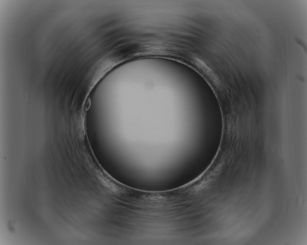X0000091881370200709121405