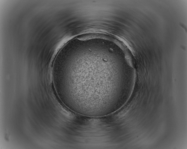X0000091881371200709121405