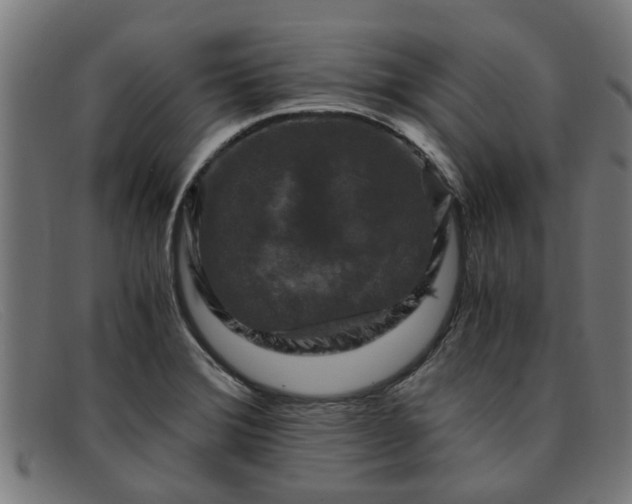 X0000091881372200709121405