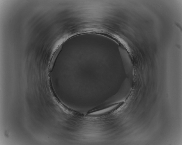 X0000091881373200709121405
