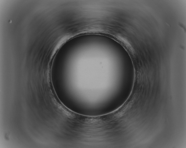 X0000091881374200709121405