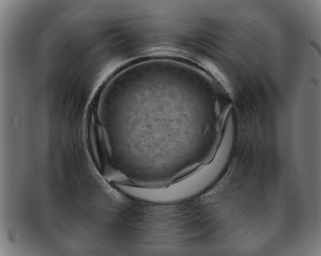 X0000091881376200709121405