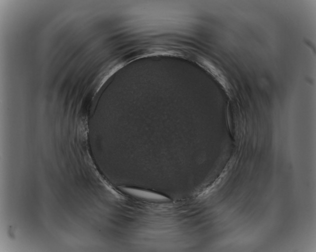 X0000091881377200709121405