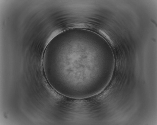 X0000091881378200709121405